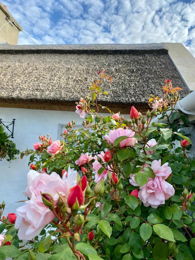 Oranuisce Thatch Cottage Ballyvaughan Eksteriør bilde